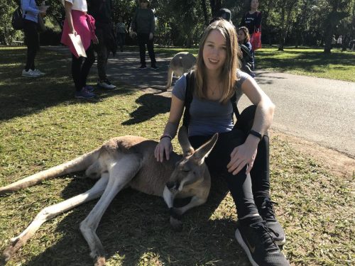 217b4832-b569-41a0-8a29-4611af155c27