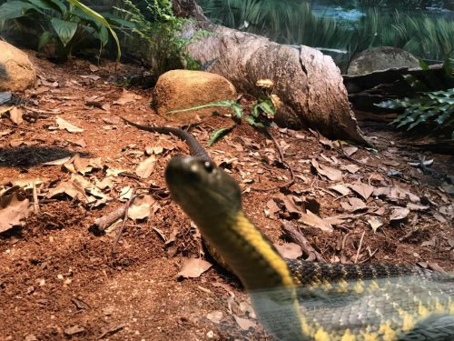 2391de04-8c8d-42a2-9036-723bae06cf0b