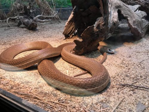 2965bb3d-fbe7-4add-91f5-3f12d69528ab