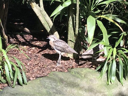 2be892a9-ceab-461b-ae8b-18b1676ca6c4