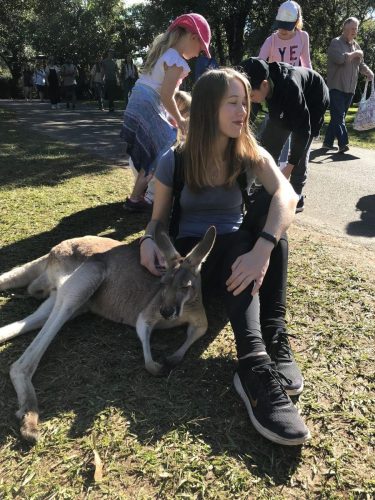 2cfc1e1e-f5da-4539-bcd1-c65980b8b6d2