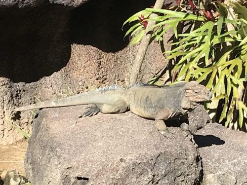 2e2f91c1-d7af-4098-b943-0eb35a2c929b