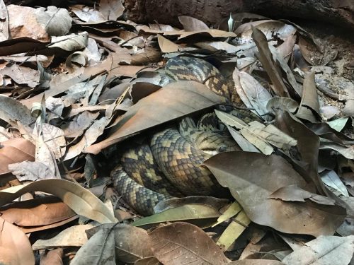 2f3c99be-3cab-43f8-9f13-16f0ae0de80e