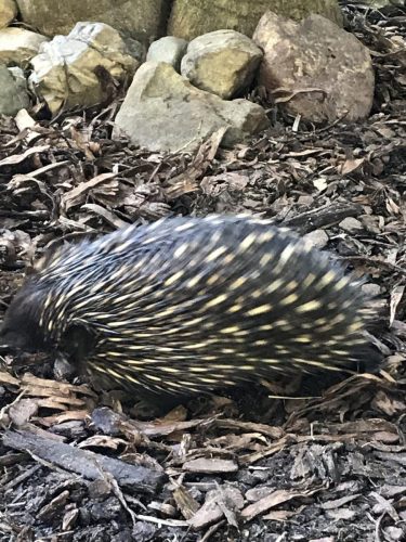 30261291-361b-4c02-82af-caf510601fae