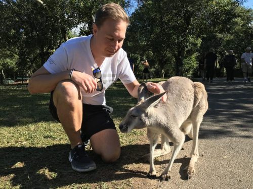 36d297d0-8d9b-481a-96dc-1b174f0e49c9