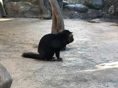 3d730732-275d-4cd1-9c27-b73c6c65e4ca