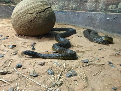 4138846d-e5fd-4aa4-a3ff-3e3ba73d3a94