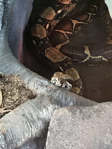 442ca2bf-380f-4086-90c3-bc1bf63abf8e