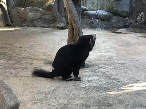 46d74cb4-c3d4-42ec-9d39-55a6f81551dd