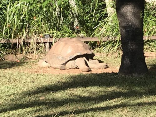 48a3245b-79d1-4fd9-8b00-678621c74acd