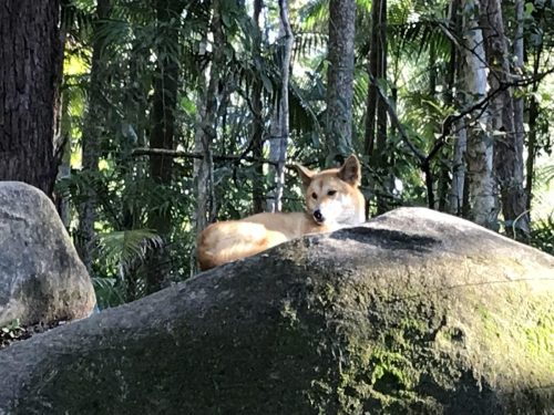 4be0e6ae-7d57-46b2-a6aa-eef9e8525386