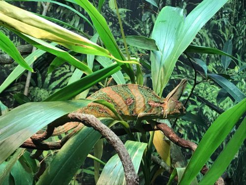 4c17a15c-1022-48ad-b584-4785a7f54f13