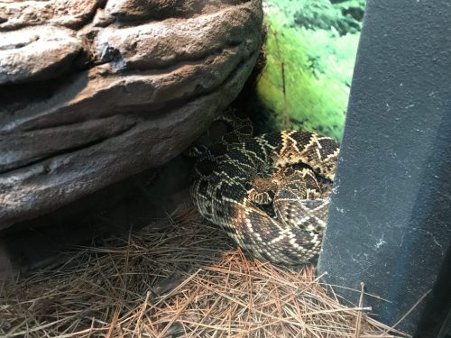 4de4ed2b-0c1e-45ad-b358-ab03eec91db2