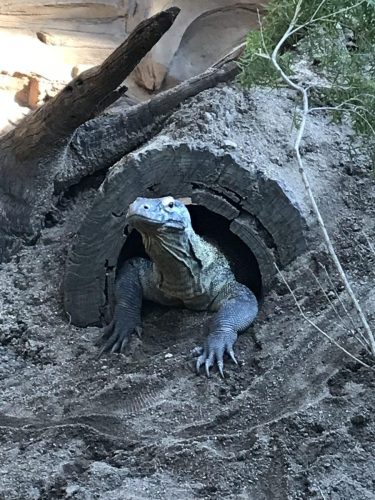 4efef4f3-d44e-4efa-8b6d-87d77ae4127b