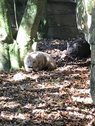 519d0131-8b8e-4037-bd64-61328554de6b