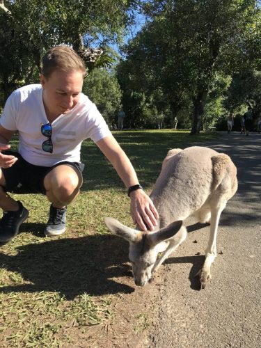 55040601-41eb-4a0e-8cd2-78fa717dd7f1