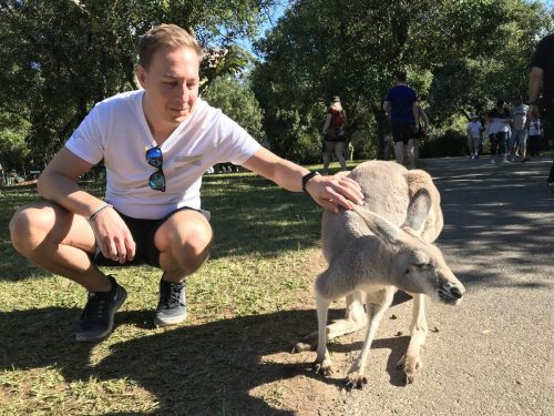 5675a896-770d-4c21-9fd2-c42806a082e5