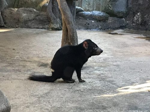 5869c83e-3f5d-4967-8dea-7c6c2c4647e9