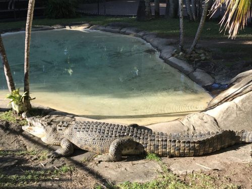 5a680b8e-4c88-4095-be67-0e903c6ae488