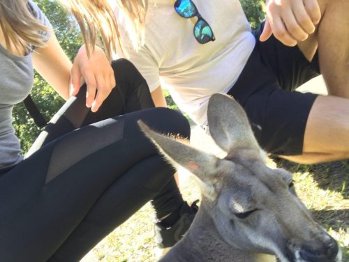 5c5602c1-edc2-4574-834e-b0ac2df47088