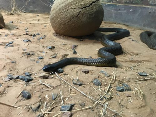 5dde240c-93a5-48b9-8dfc-93e86ff9836d