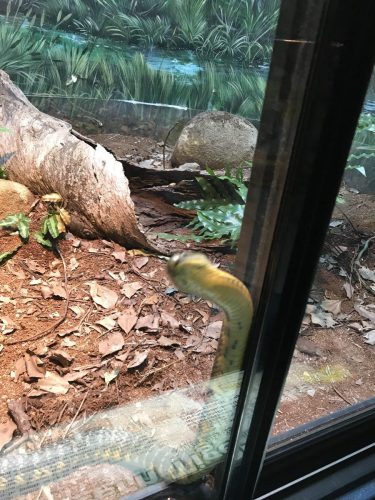 624d13bc-b5a8-4132-b416-3f079da4c98b