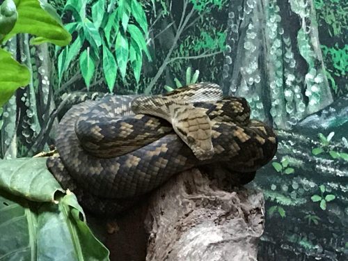 67247e05-f9e3-4ca2-b242-ec5c1ba9b3c4