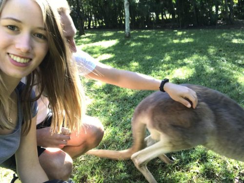 682912a4-575a-47bb-8c80-1f8384a2421f