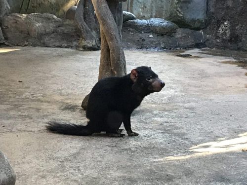 698161dc-832f-4634-a594-ba296deab0c2