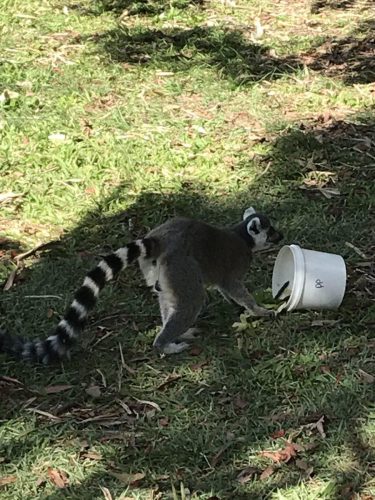 6a9f79b1-3e31-4e59-8c79-1c2ae18dca3d