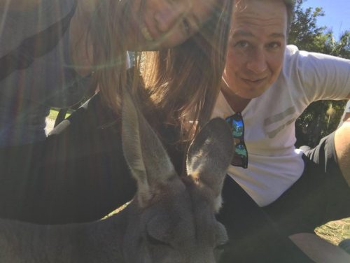 6ab6ee3d-9721-46b5-9734-8cef9bdac475