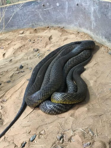 6ce3528b-527d-4c30-a511-3ffb202dff43