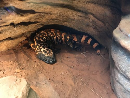 74fdced8-69d1-401a-8e92-ac609818fd8c