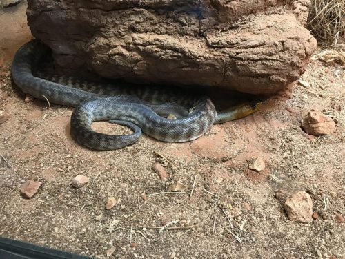 7b54756a-38a7-4d60-b224-718a74b1348b