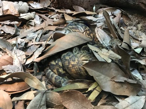 7c2a0851-abee-4cd9-96db-4a6fc112ea6e