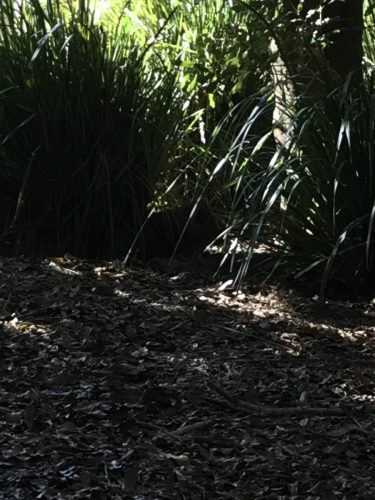 7ca4da6c-6f2c-4edf-a237-2712e87f6c1e