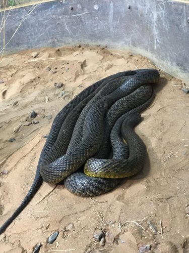 83180967-12b3-4646-888a-13a7aa62c82b