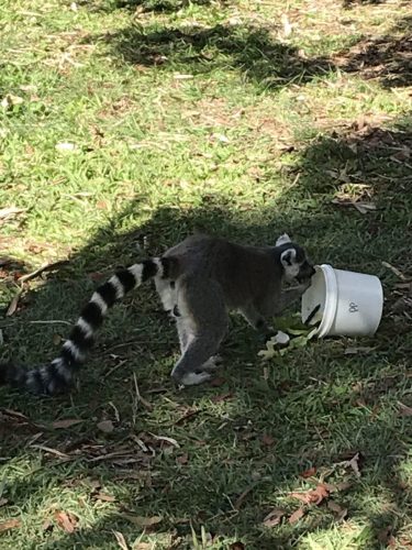 837f68b3-cf83-47ce-b07d-889481594478