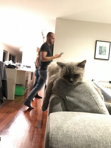 83cd5295-9ea0-41e2-8956-7d470a6b69e9