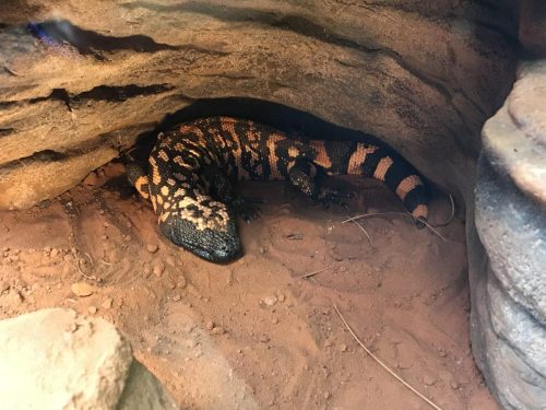 8691eaff-0e46-4c48-b547-e9004cb8ee83