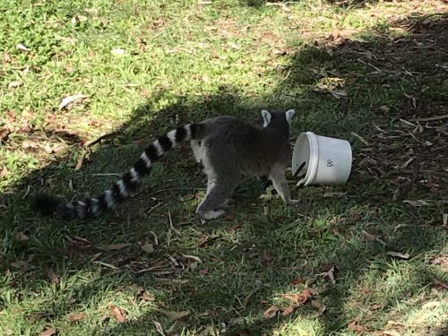 8cc62fe4-c5ab-4176-963b-24795a31e374