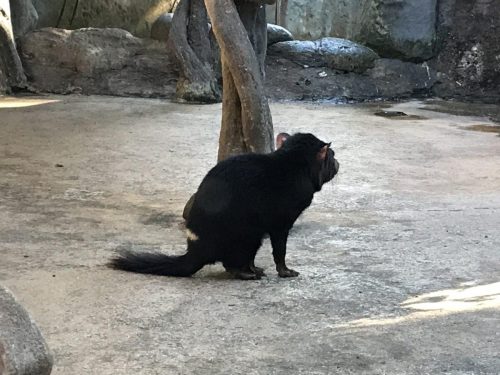 8dc4d6e2-8bcc-4e6d-b83e-277cab3850ce