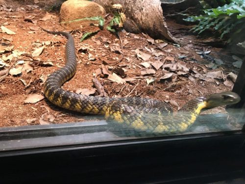 98665764-9a0b-423f-9e85-198a4b5dcf07