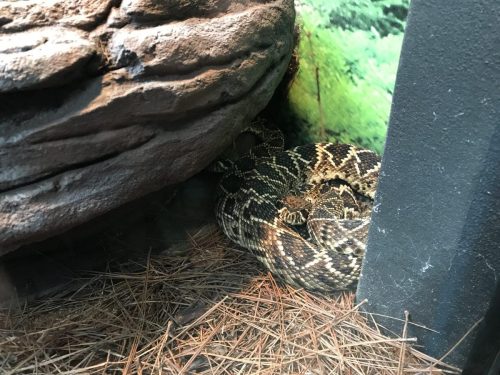 9a696d68-0ad3-4643-b0fc-b08aa3d20a89