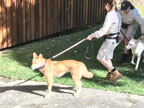 9dca1e17-d267-4d42-9903-d9ed93203d7a