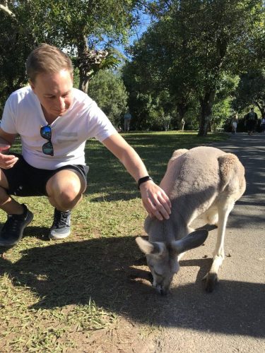 a185e15a-908f-4a52-a1d3-7feaa9811a7e