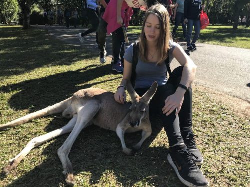 a5d39ef9-cedb-47b6-aa1c-480aa013cc4b