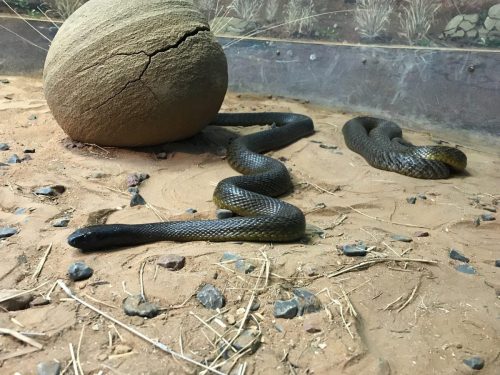 ab329950-6790-4f65-b652-5651f664e497