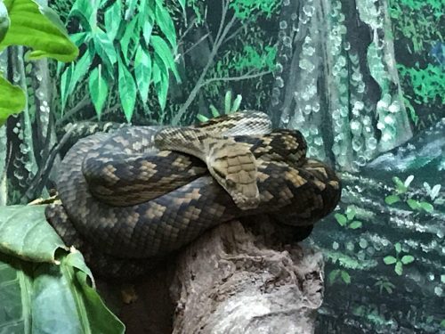 ae8469ae-d2a7-4f75-b840-4c6fc110f016