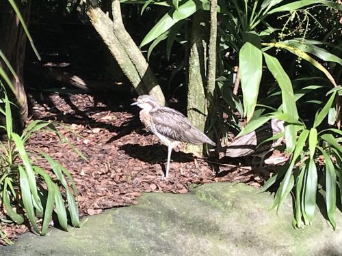 b83c0882-a4aa-4aee-8e0a-9c21b82e2590